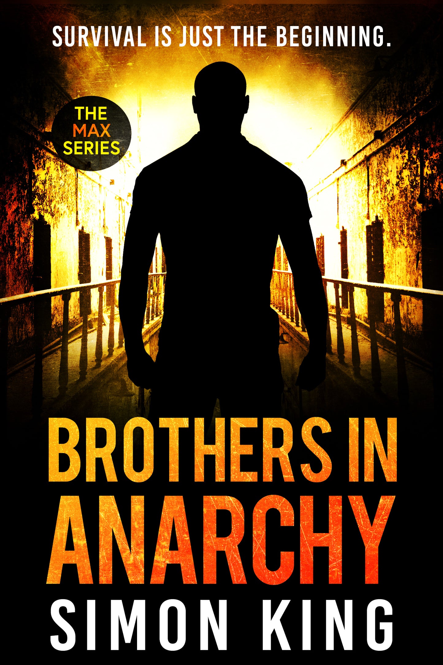 Brothers in Anarchy (The Max Series Book 3) eBook