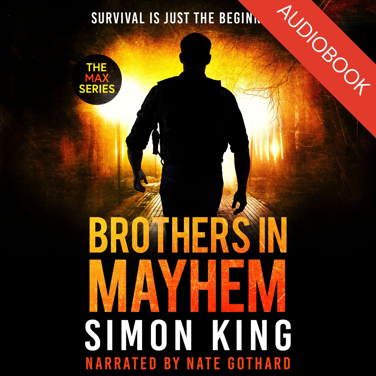 Brothers in Mayhem (The Max Series Book 4) Audiobook