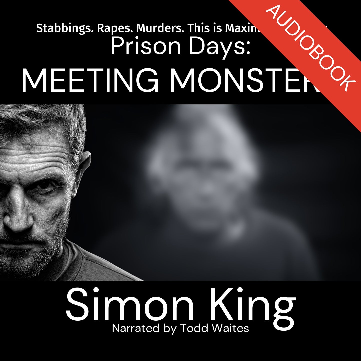 Prison Days: Meeting Monsters Audiobook