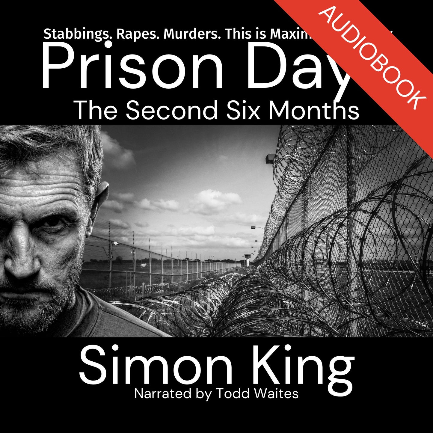 Prison Days: The Second Six Months Audiobook